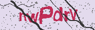 Captcha認証コード